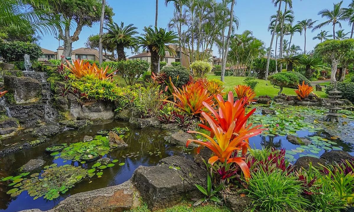 Photo of Outdoor in Kapaa