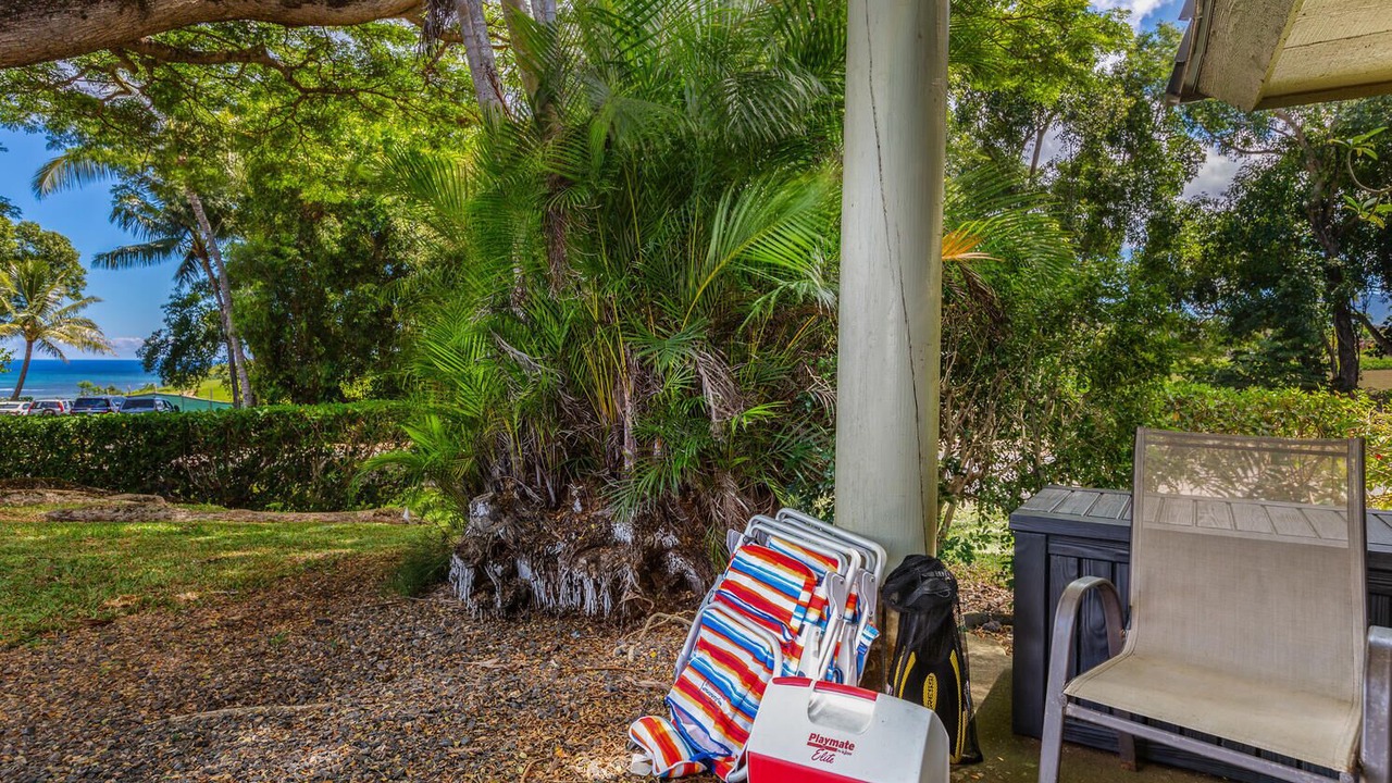 Photo of Outdoor in Princeville
