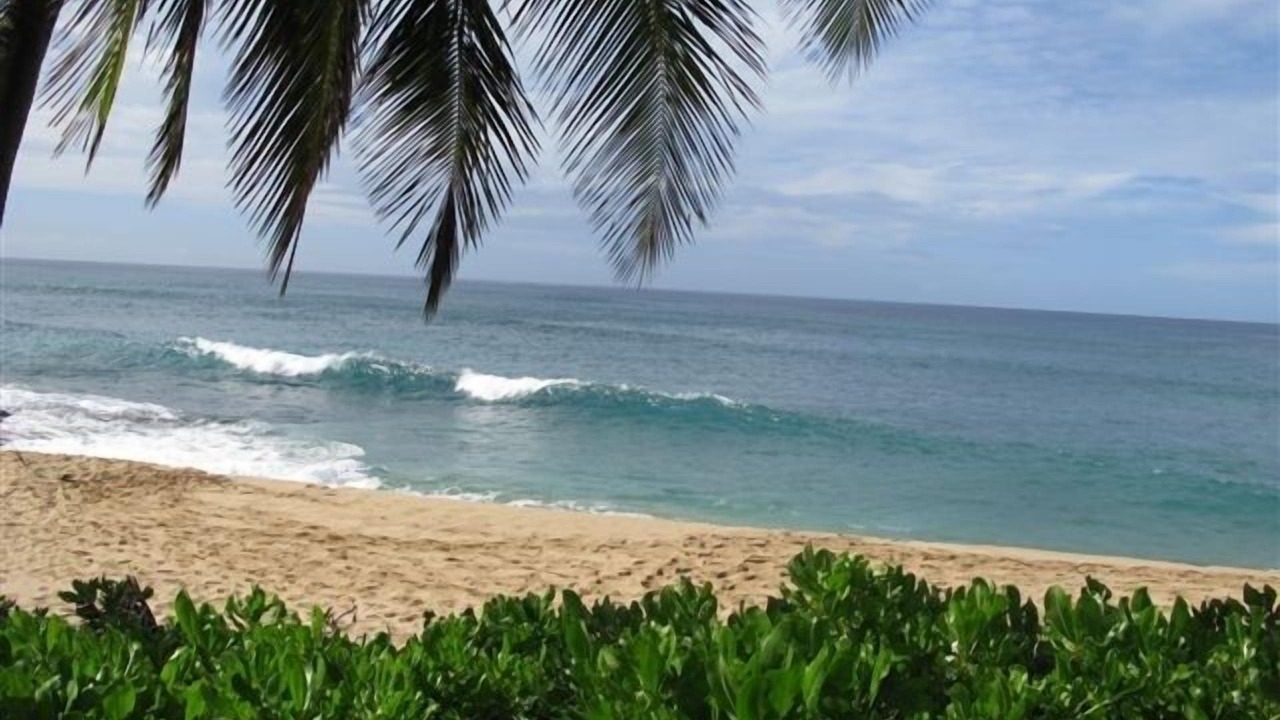 Photo of Others in Makaha