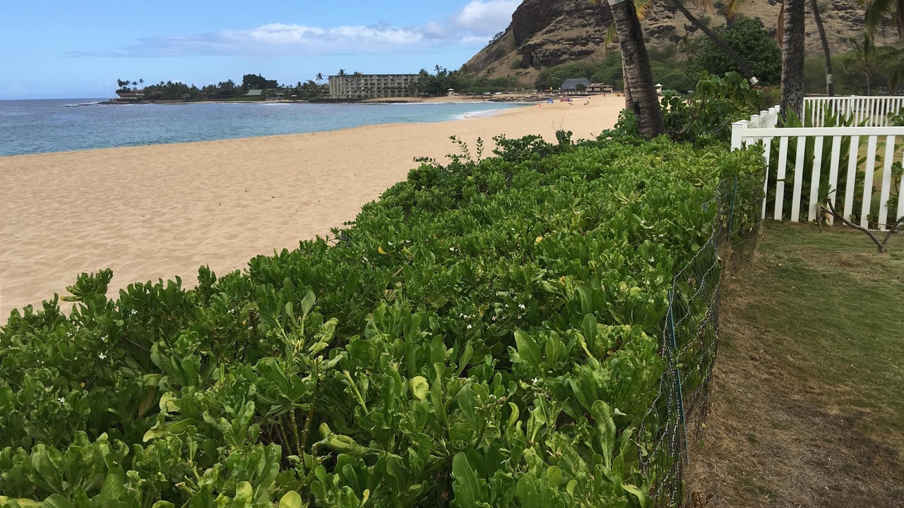 Photo of Others in Makaha