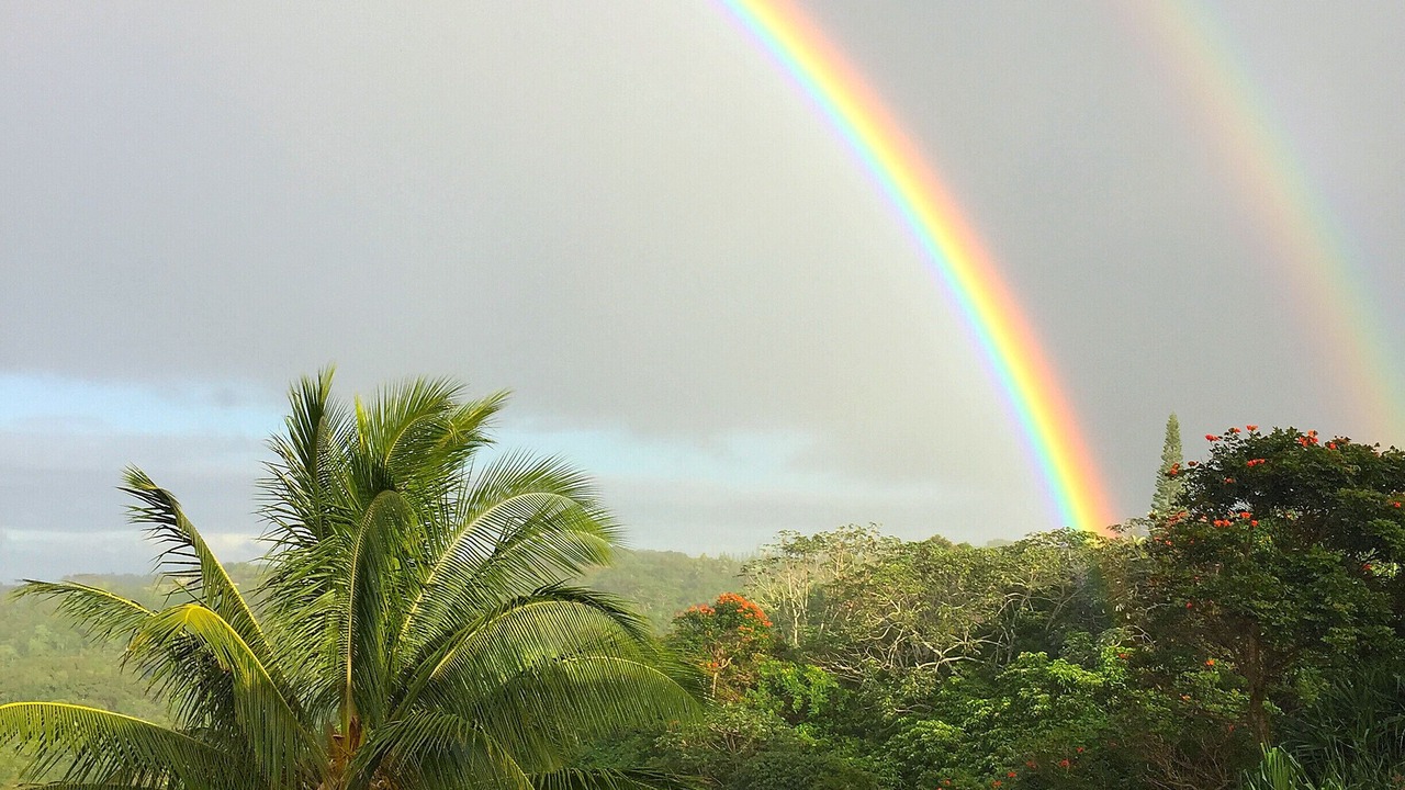 Photo of Others in Kilauea