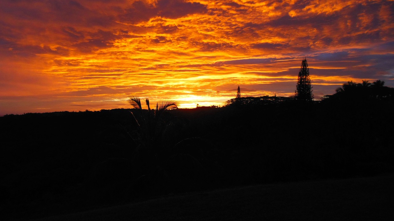 Photo of Others in Kilauea