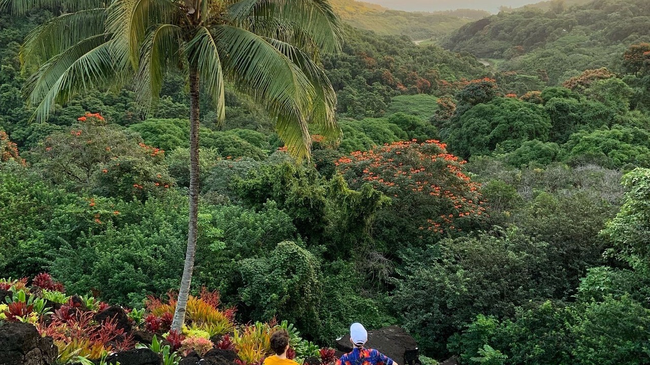 Photo of Outdoor in Kilauea