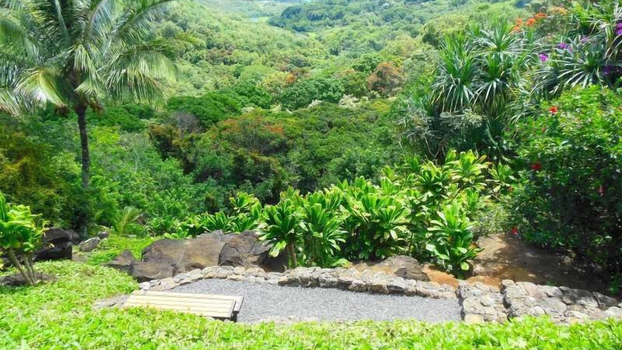 Photo of Outdoor in Kilauea