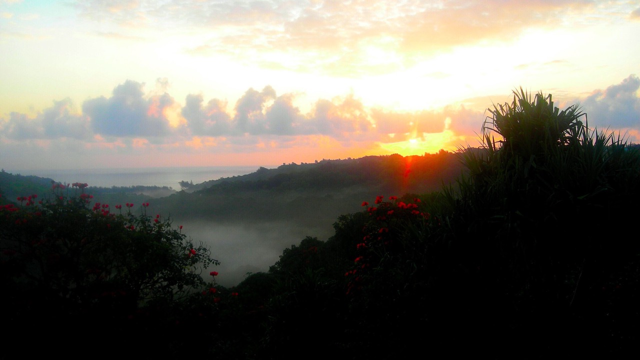Photo of Others in Kilauea