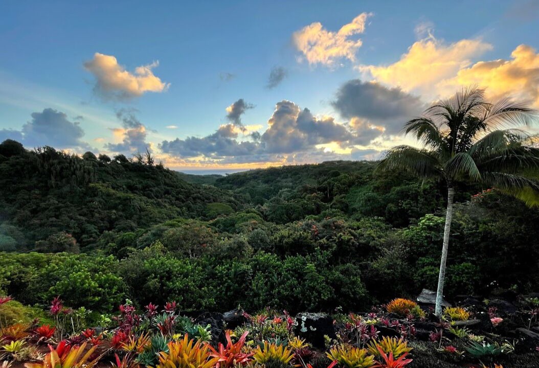 Photo of Others in Kilauea