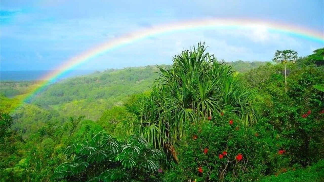 Photo of Others in Kilauea