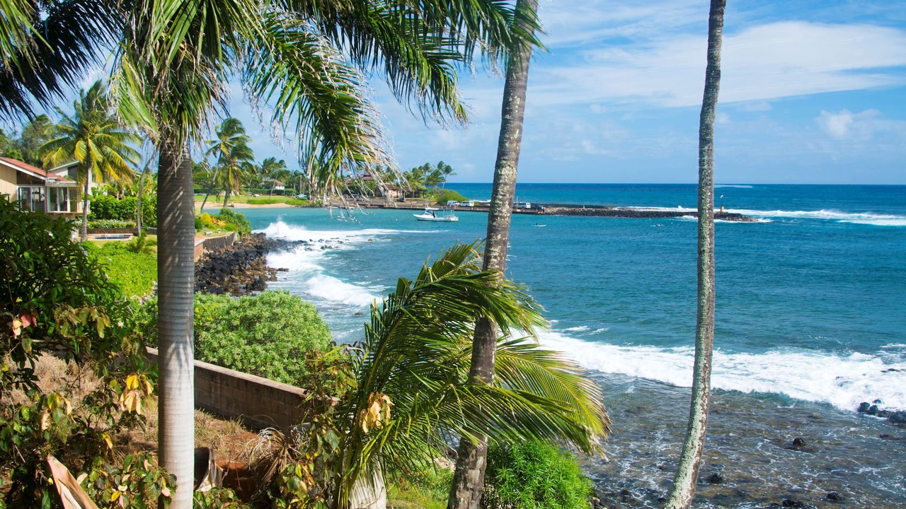 Photo of Others in Poipu