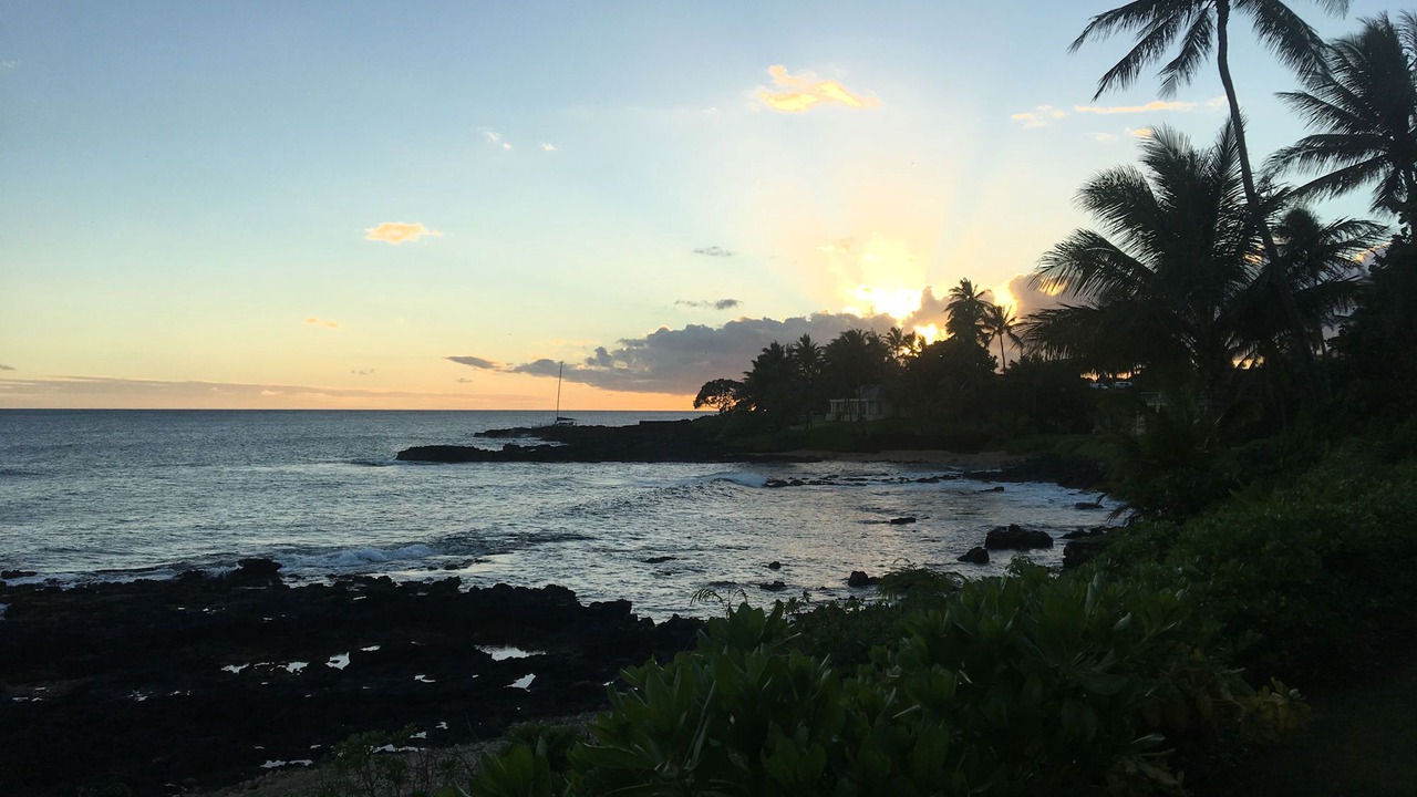 Photo of Others in Poipu