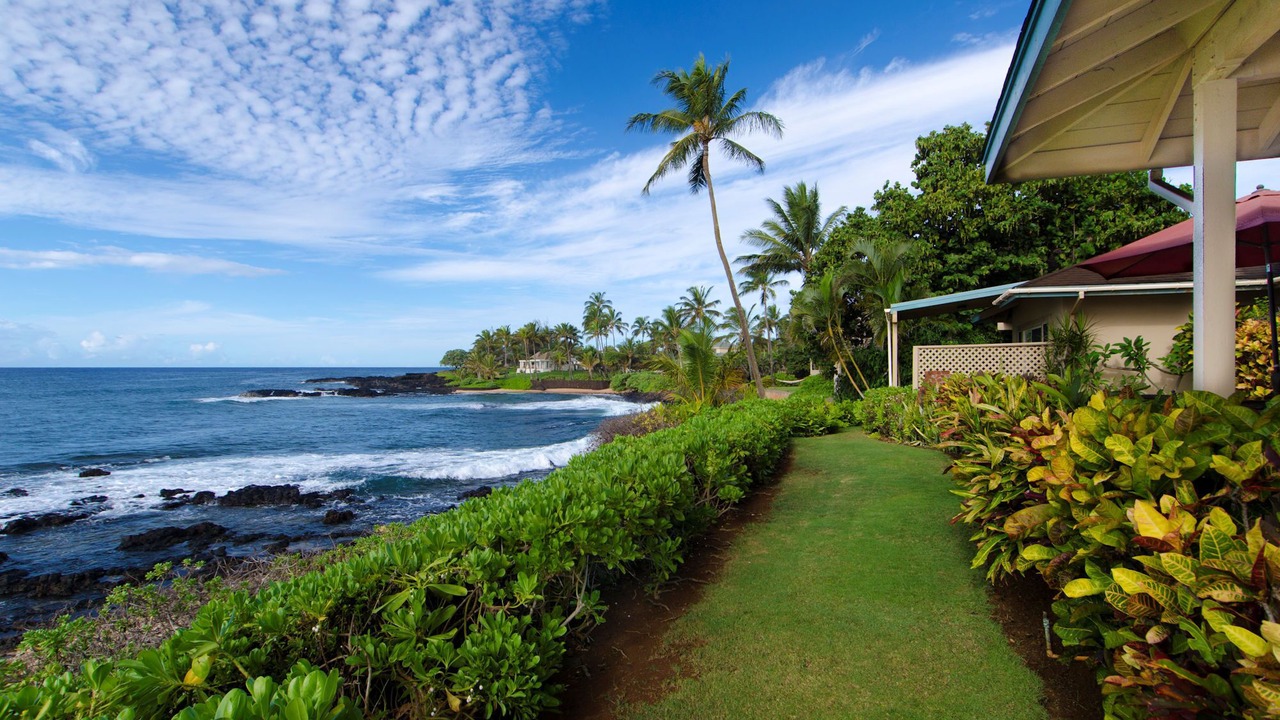 Photo of Others in Poipu