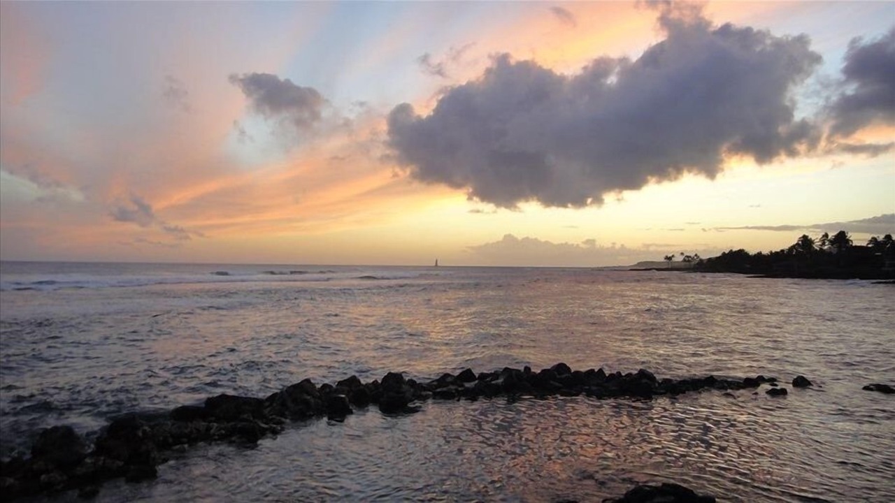 Photo of Others in Poipu