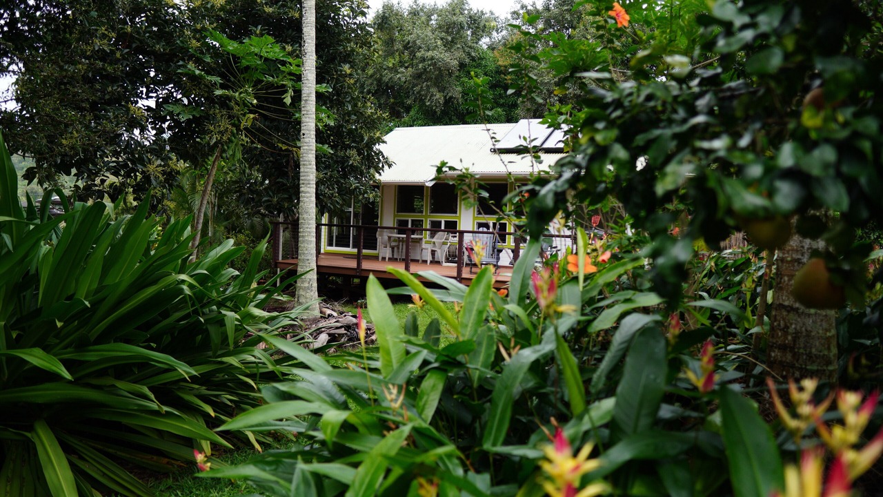 Photo of Outdoor in Kilauea