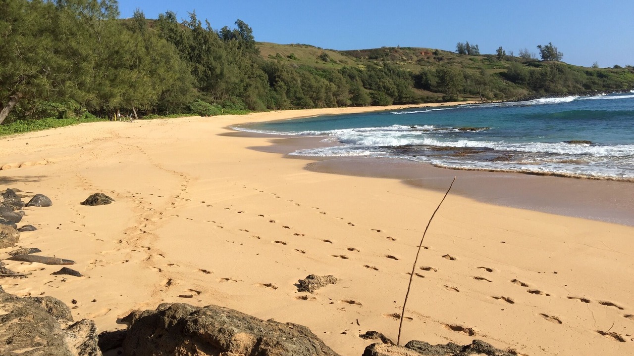 Photo of Others in Kilauea