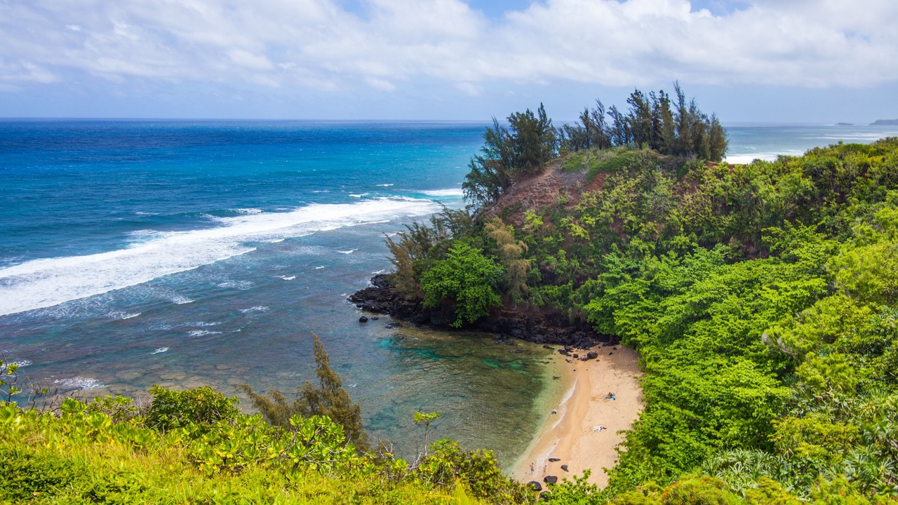 Photo of Others in Princeville