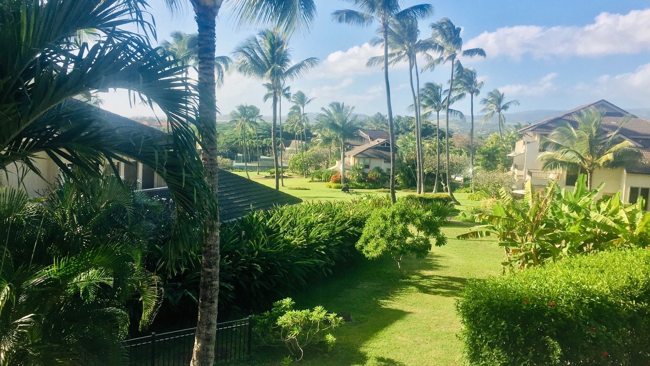 Photo of Others in Poipu