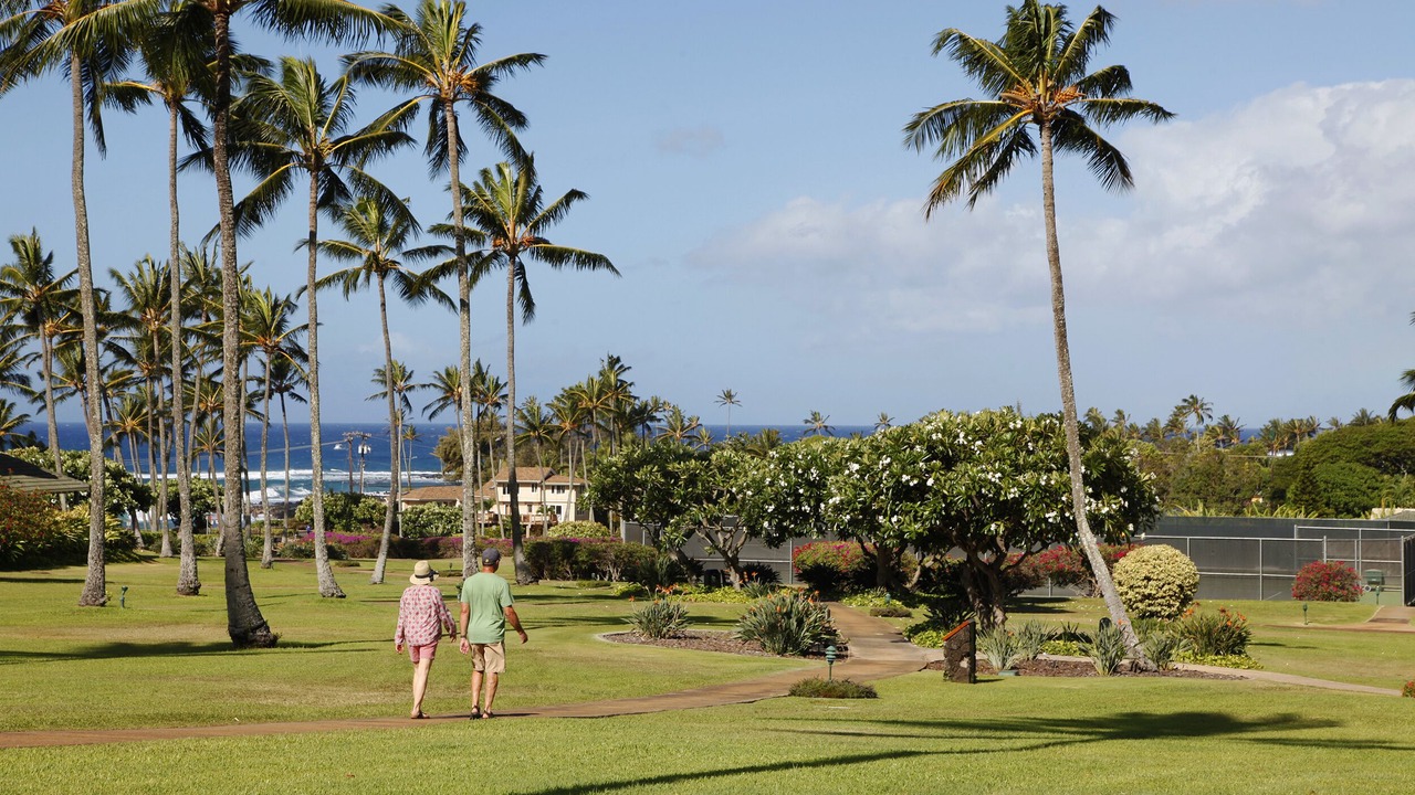 Photo of Others in Poipu