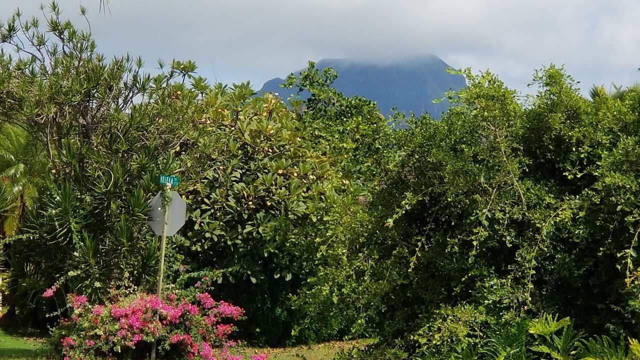 Photo of Others in Poipu