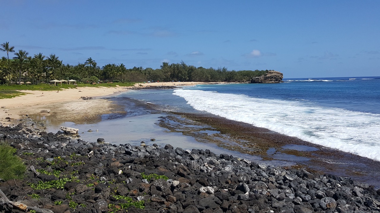 Photo of Others in Poipu