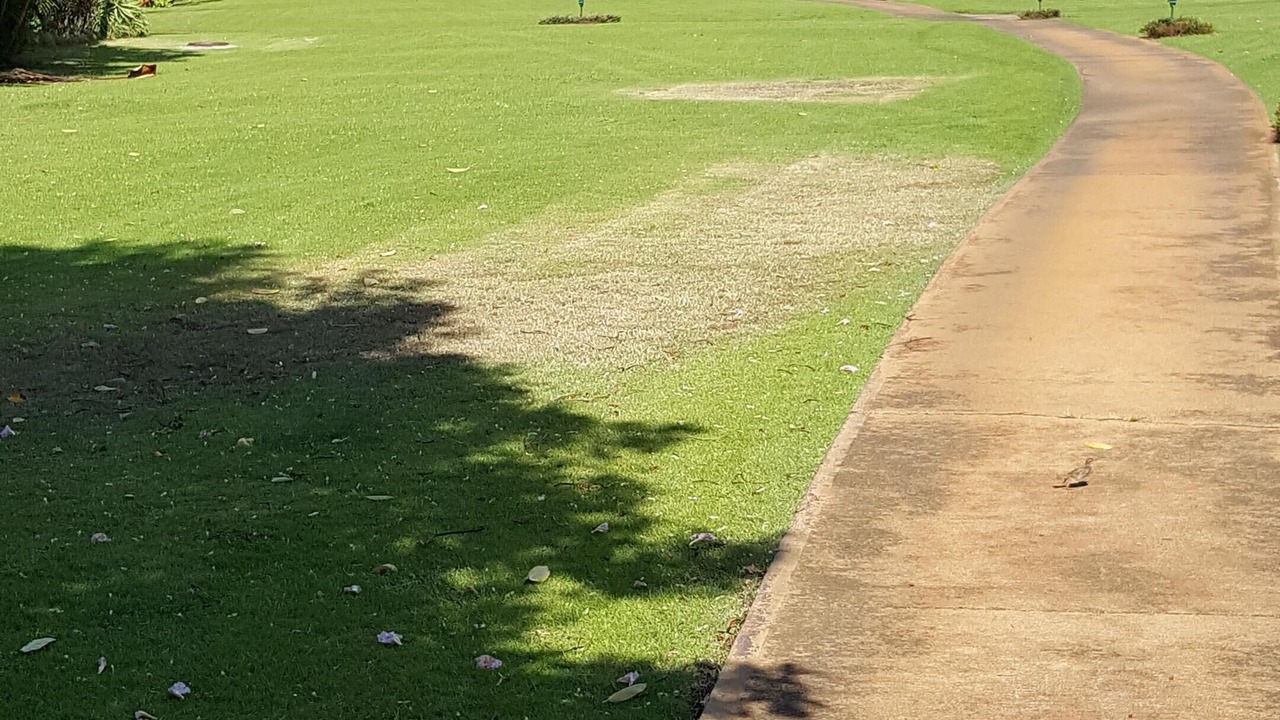 Photo of Outdoor in Poipu