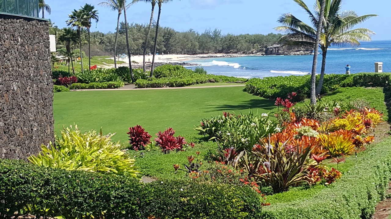 Photo of Outdoor in Poipu