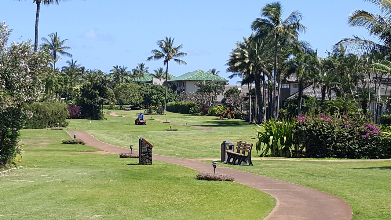 Photo of Outdoor in Poipu