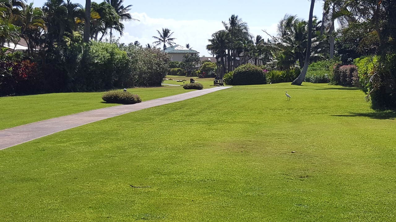Photo of Outdoor in Poipu