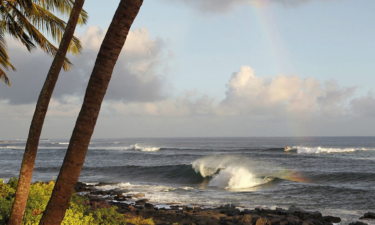 Photo of Others in Poipu