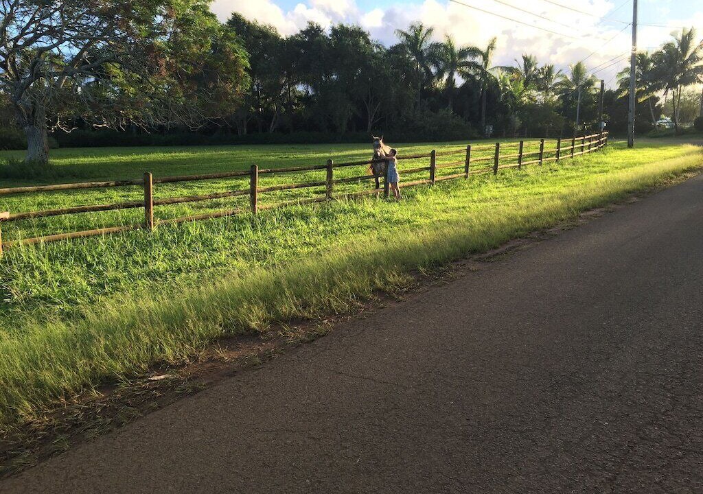 Photo of Others in Kilauea
