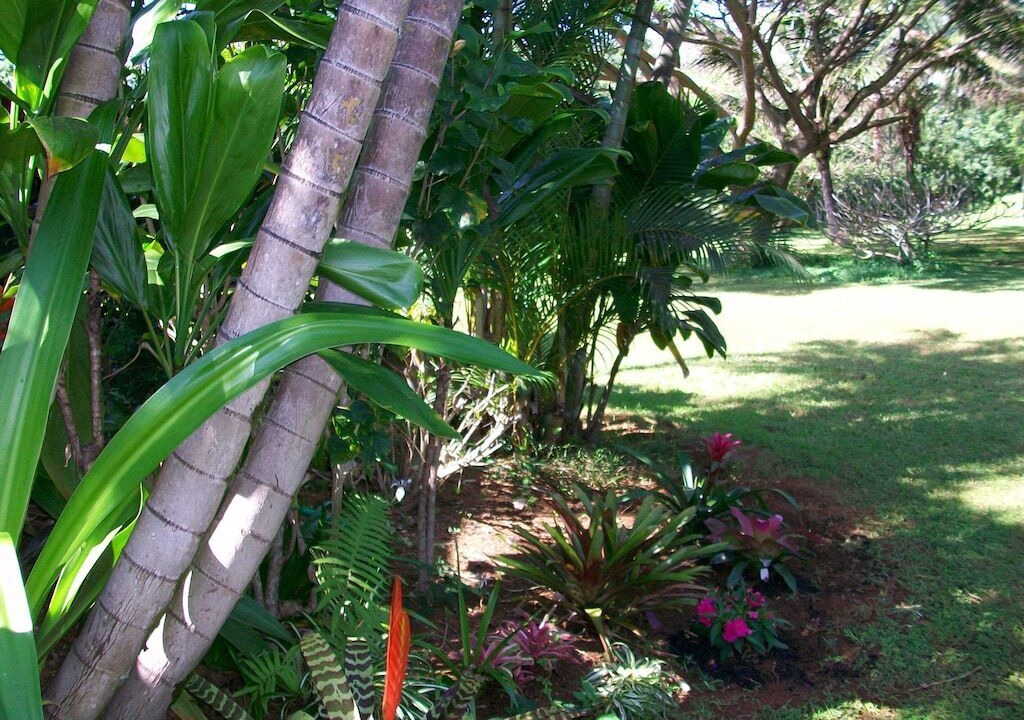 Photo of Others in Kilauea