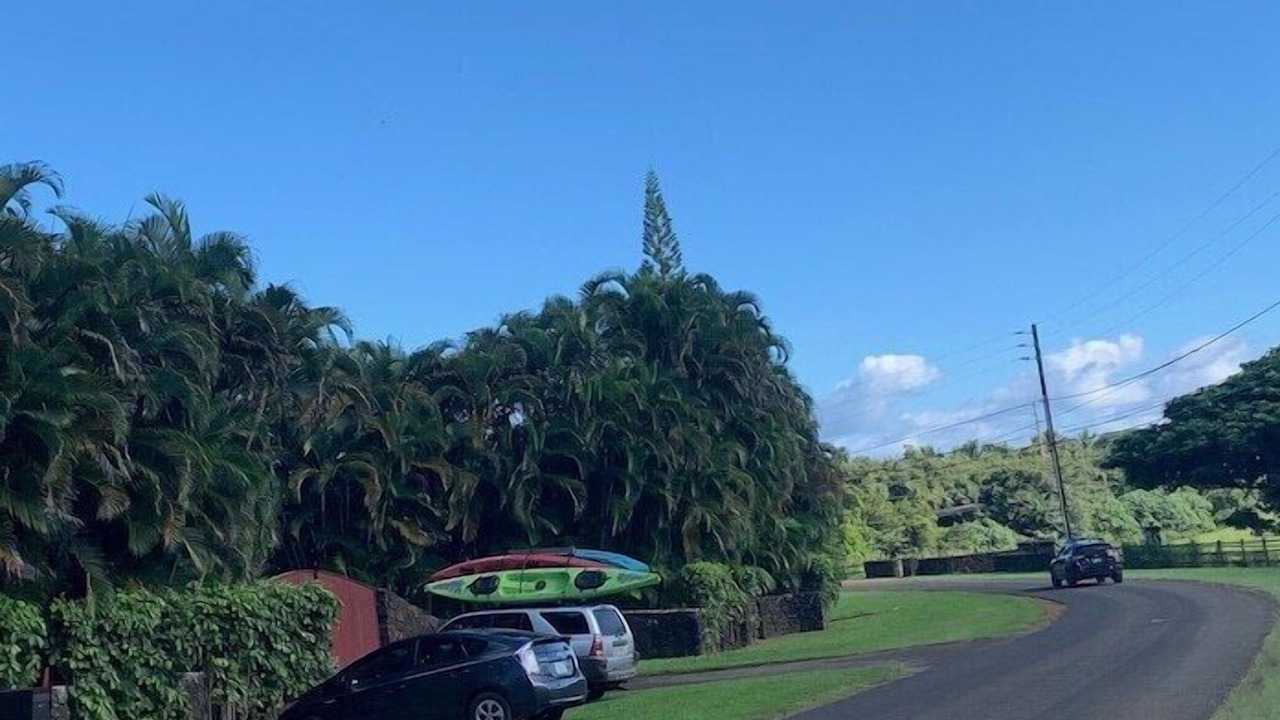 Photo of Others in Kilauea