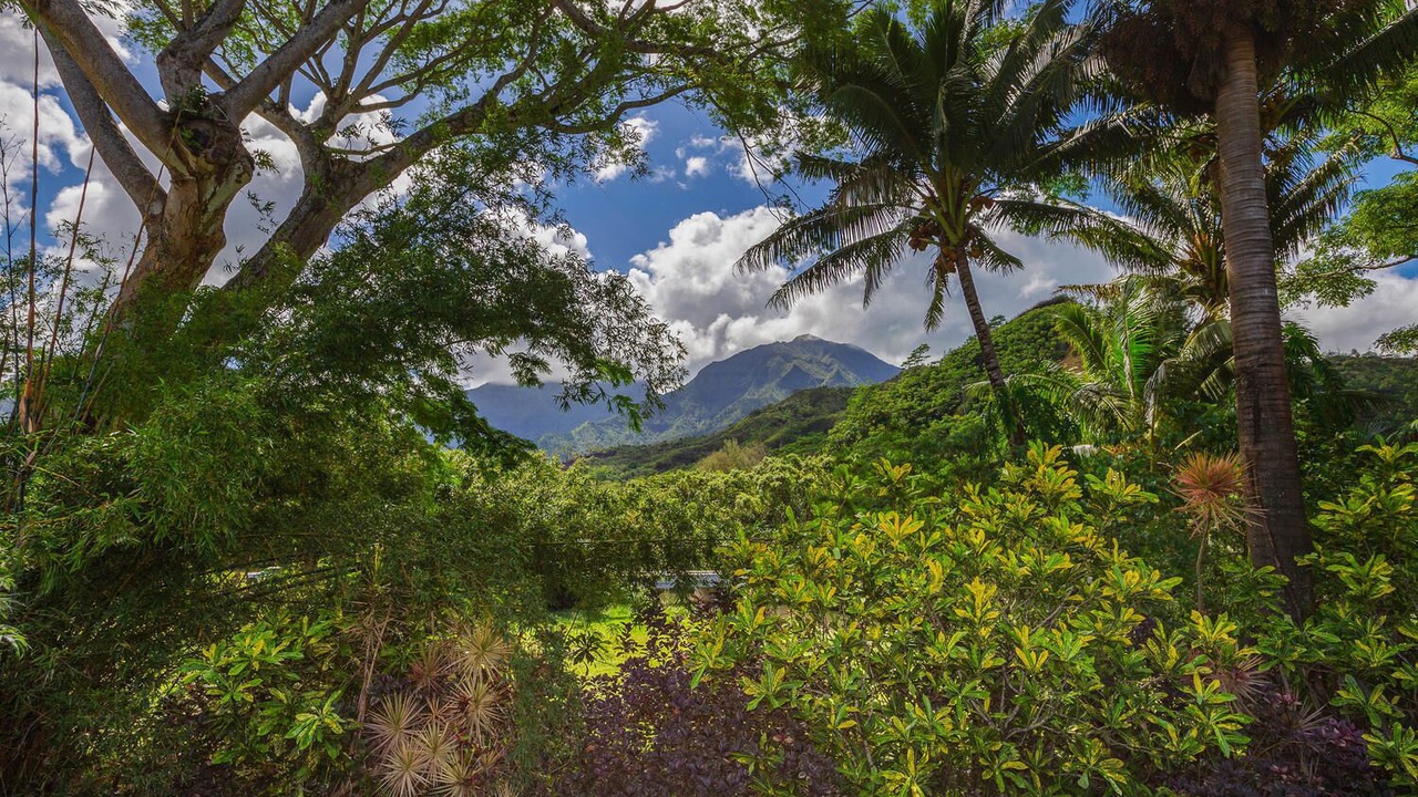 Photo of Others in Hanalei