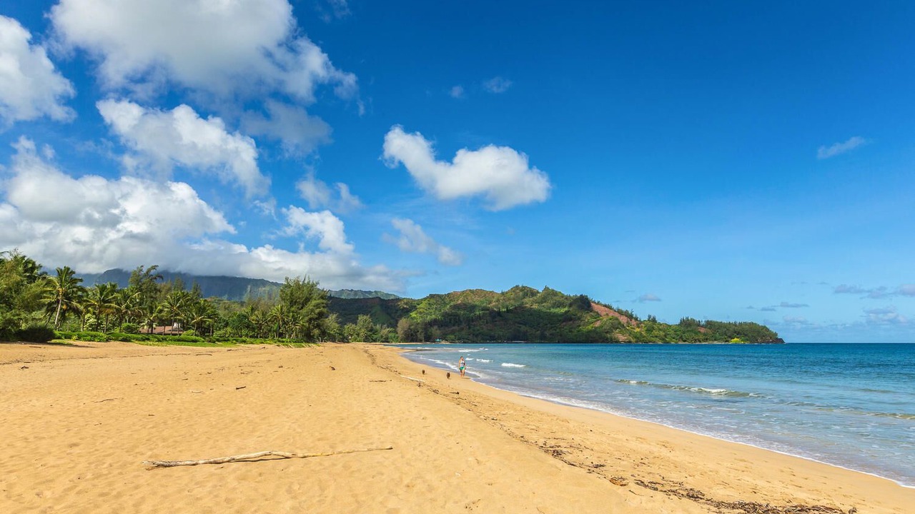 Photo of Others in Hanalei
