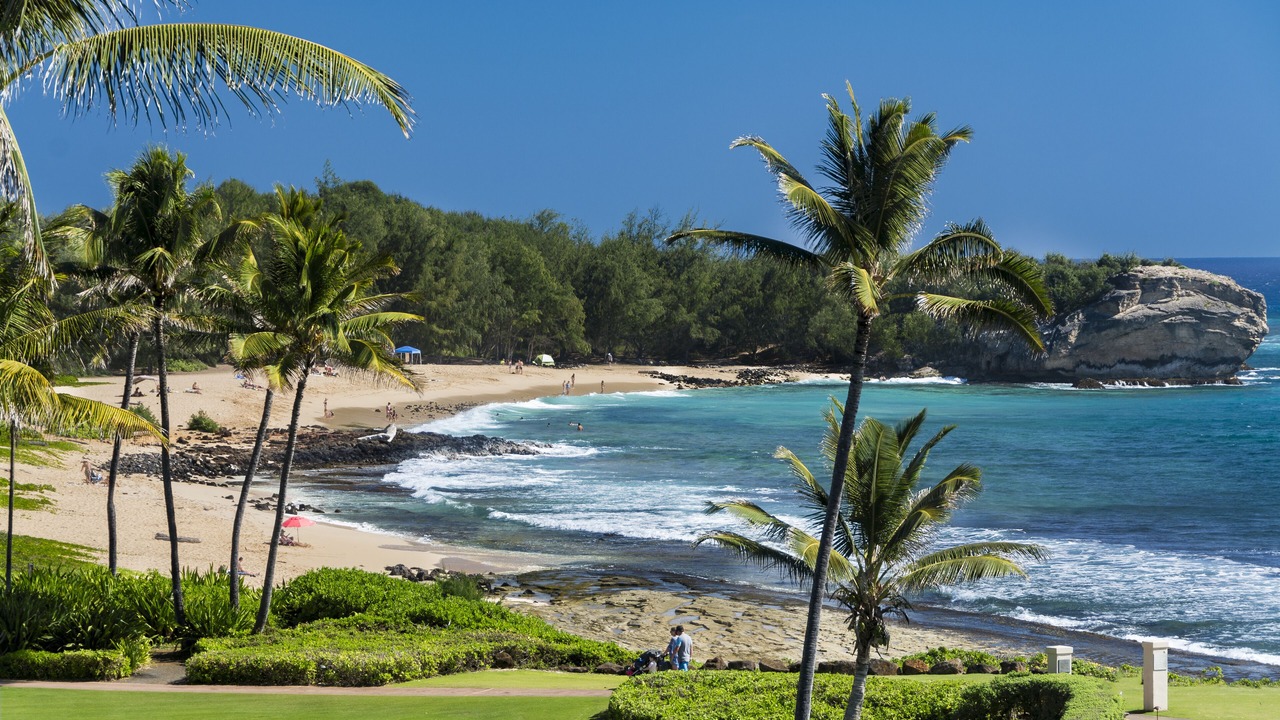 Photo of Others in Poipu