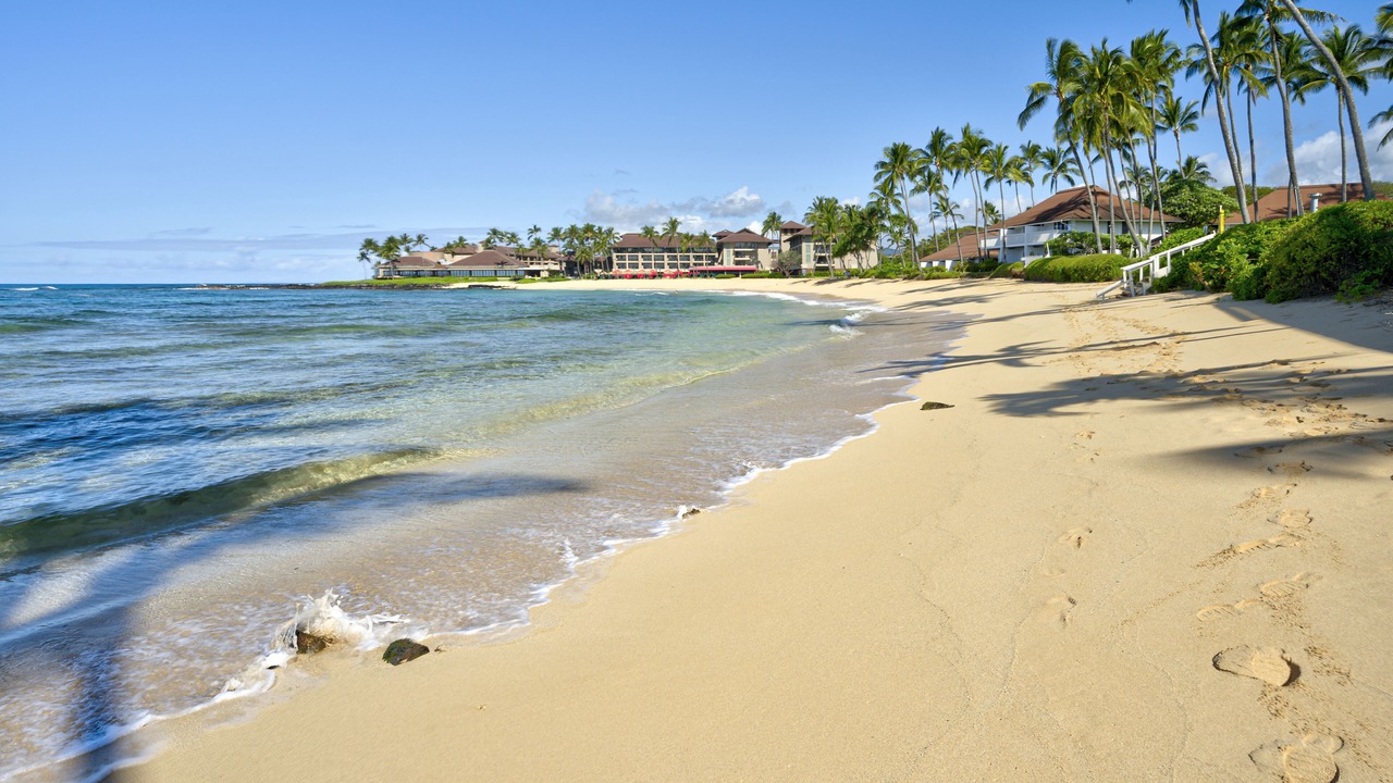 Photo of Others in Poipu