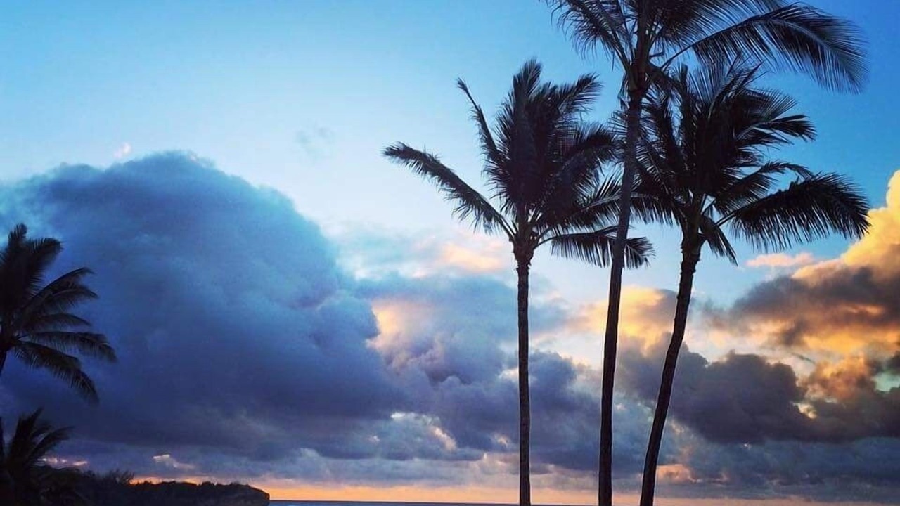 Photo of Others in Poipu