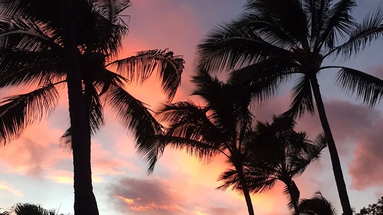 Photo of Others in Poipu