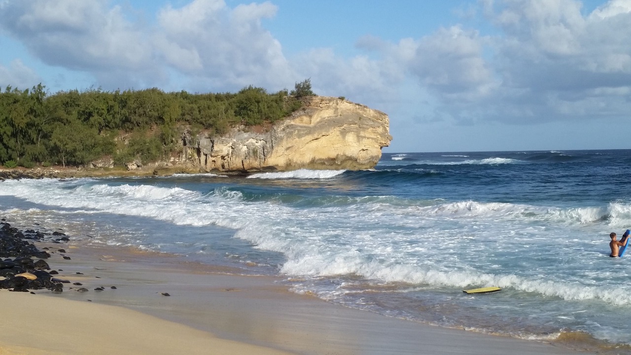 Photo of Others in Poipu