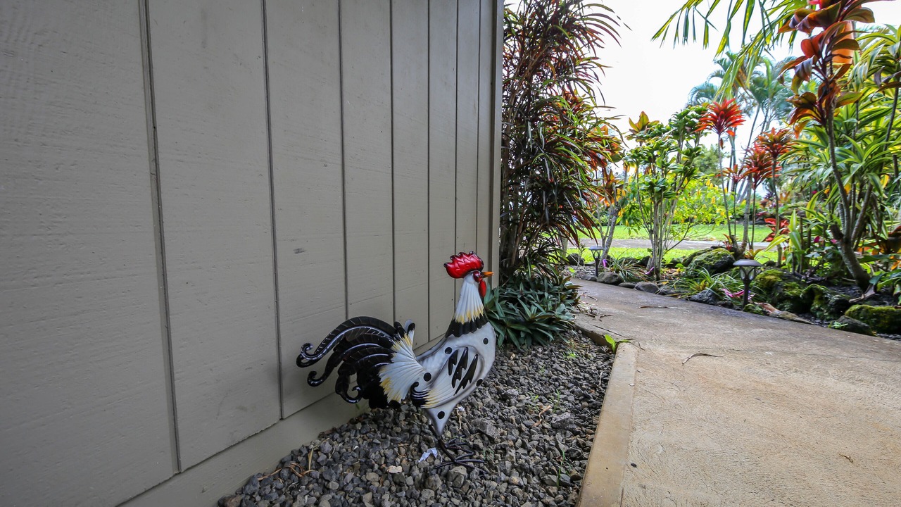 Photo of Outdoor in Princeville
