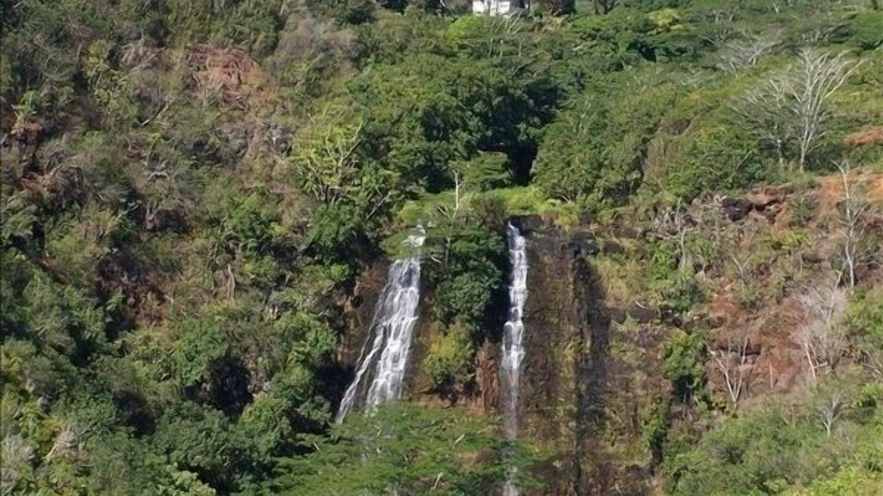 Photo of Others in Wailua Homesteads