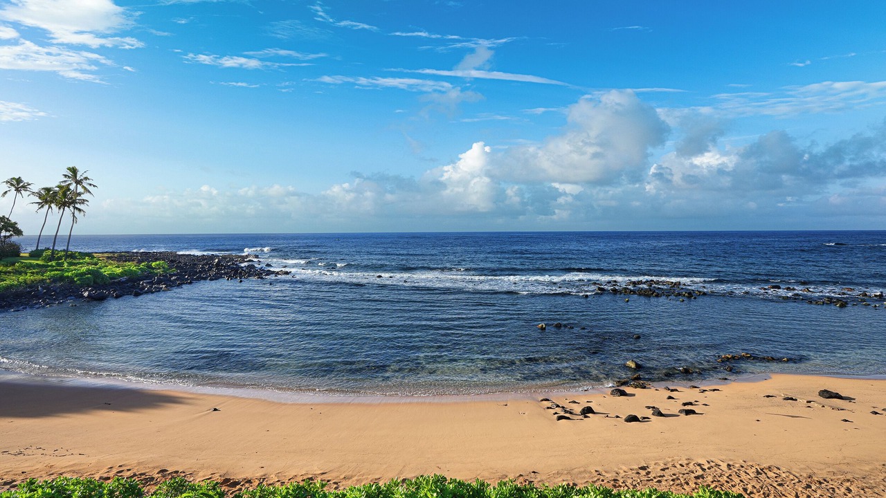 Photo of Others in Poipu