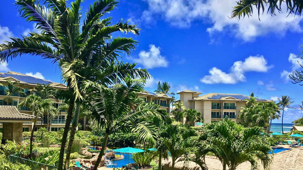 Photo of Outdoor in Wailua