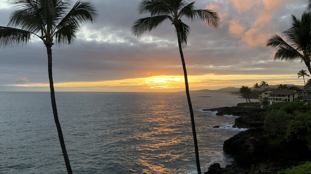 Photo of Others in Poipu