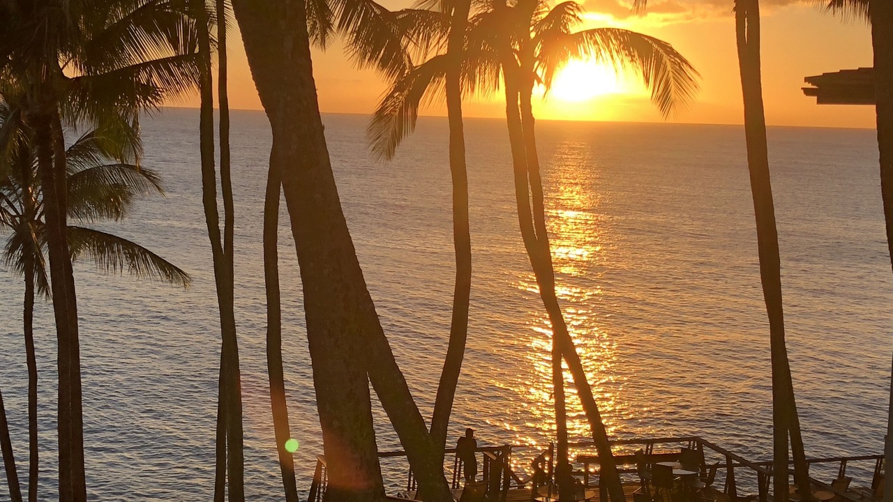 Photo of Others in Poipu