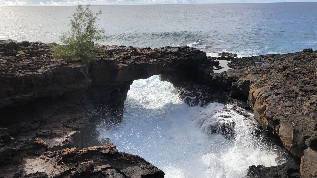 Photo of Others in Poipu