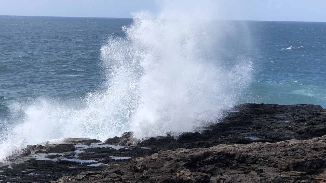 Photo of Others in Poipu