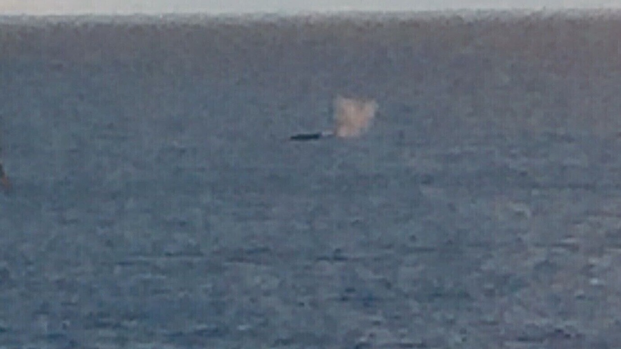 Photo of Others in Poipu
