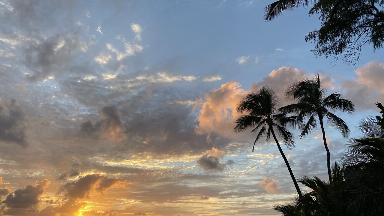 Photo of Others in Poipu