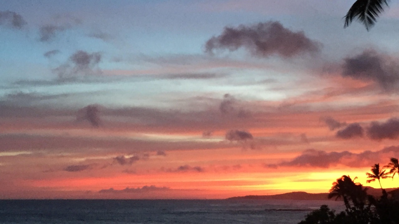 Photo of Others in Poipu