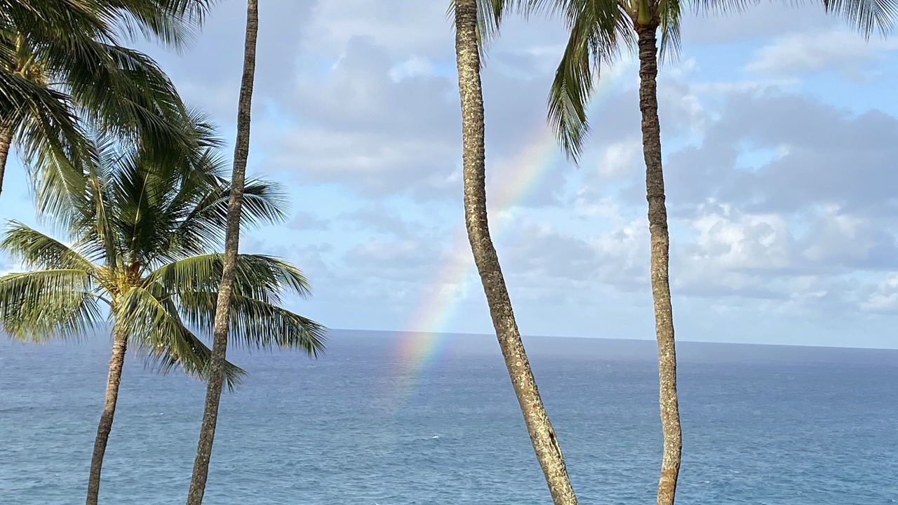 Photo of Others in Poipu