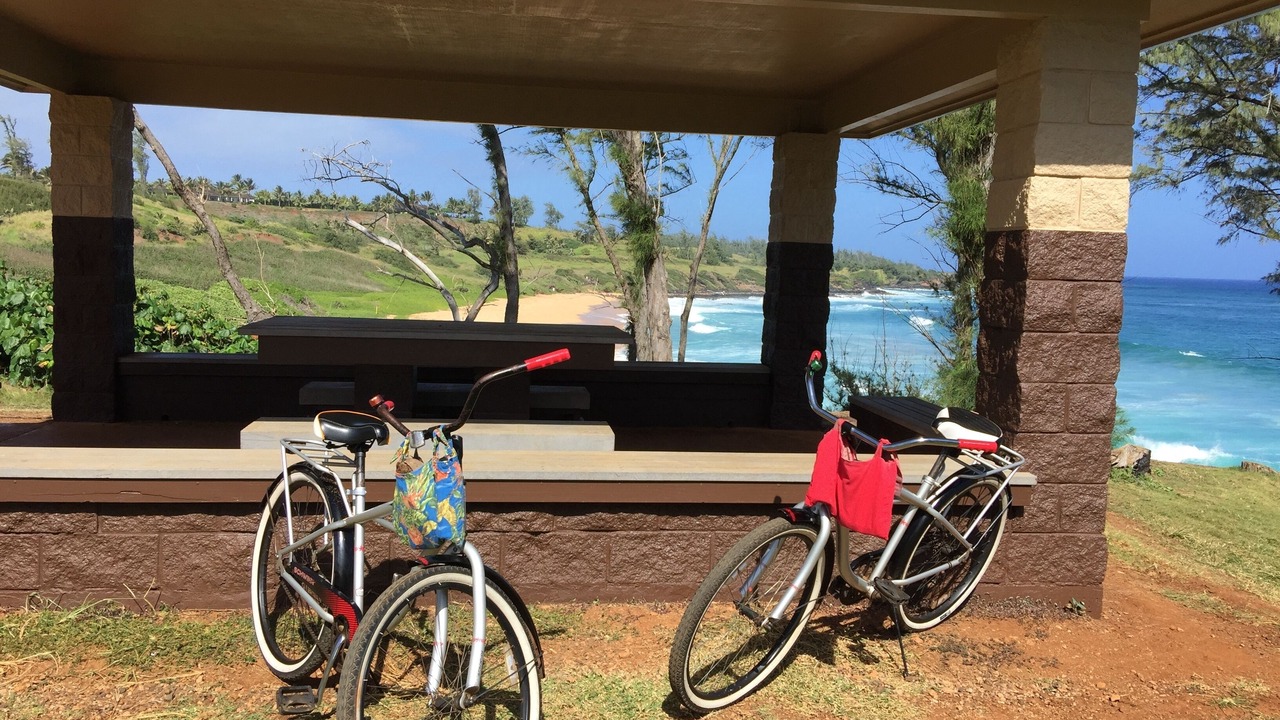 Photo of Others in Poipu